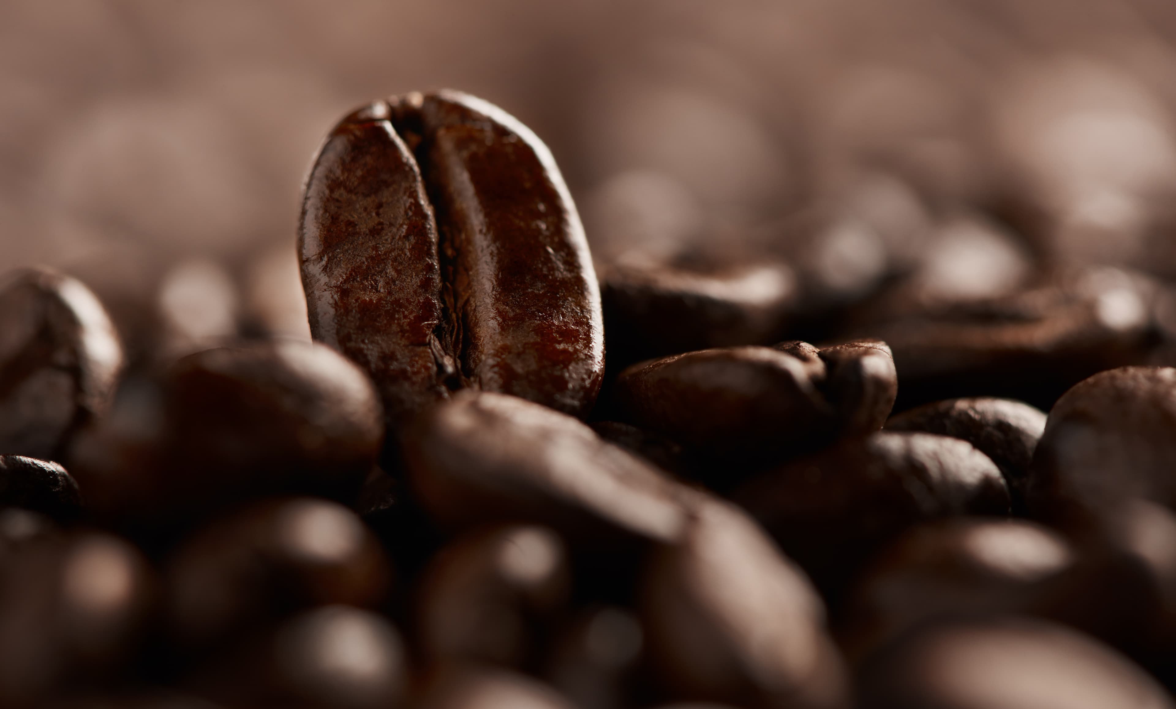 Indonesian Coffee Farmer