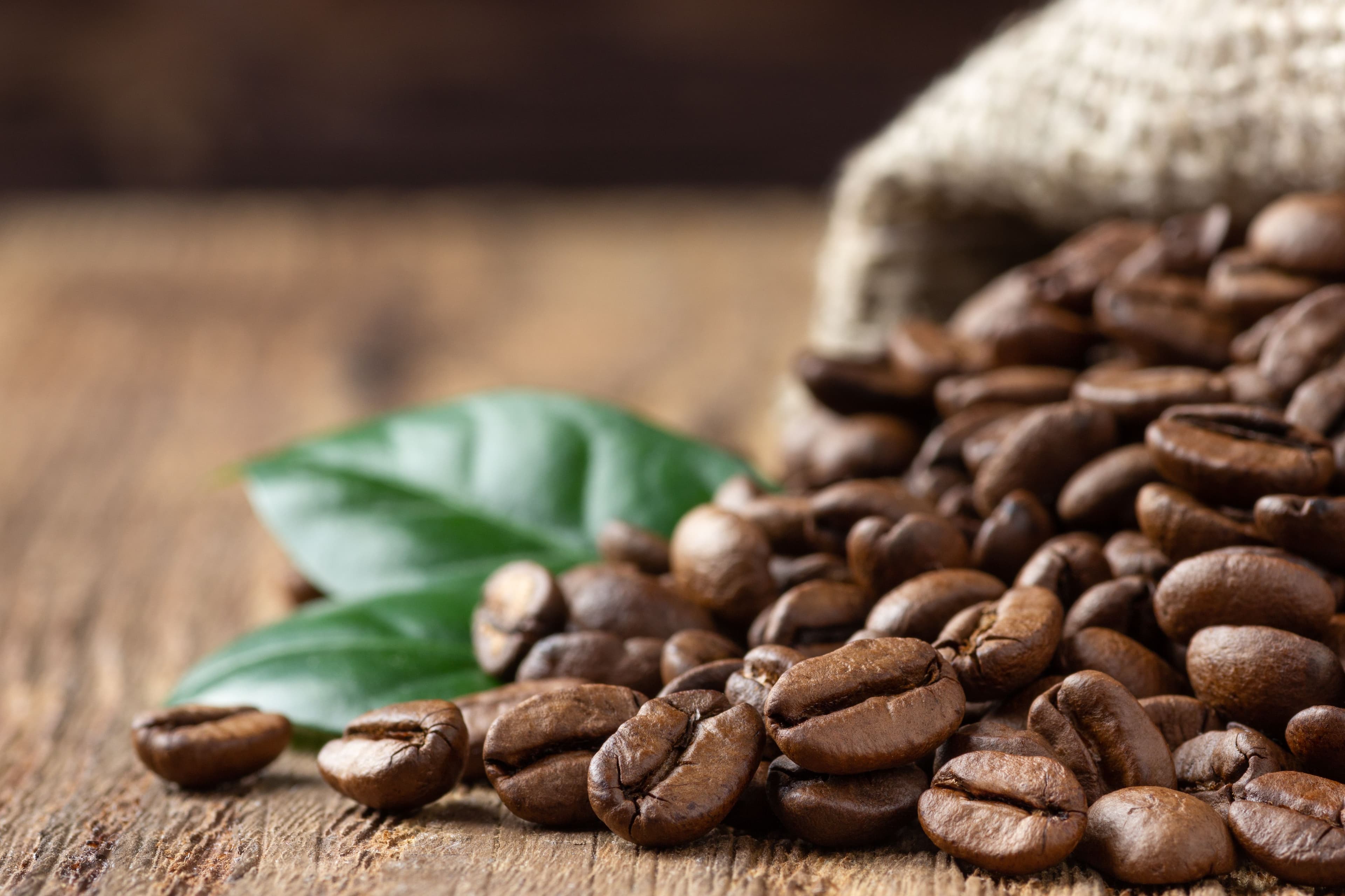 Gayo Arabica Coffee Beans